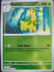 Bayleef