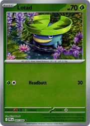Lotad