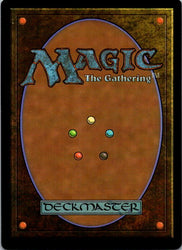 Izzet Chemister (Back)