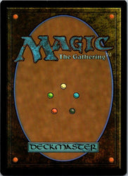 Rangers of Ithilien (Back)