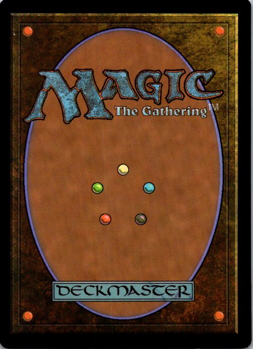 Lightwielder Paladin (Back)