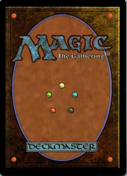 Lightwielder Paladin (Back)