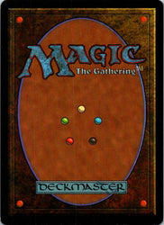 Flash Counter (Back)