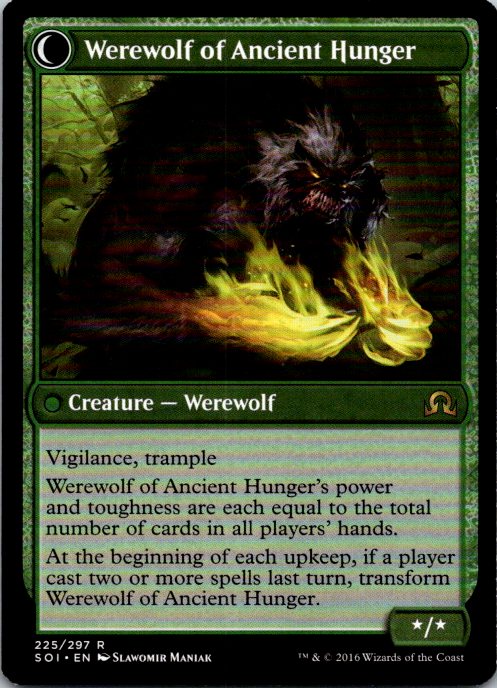 Sage of Ancient Lore (Back)