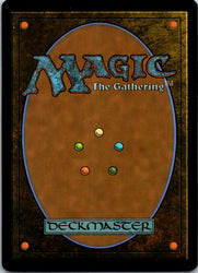 Hurkyl, Master Wizard (Extended Art) (Back)