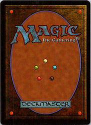 Elvish Ranger (Female) (Back)