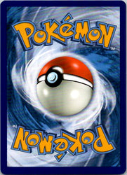 Blizzard Town (Back)