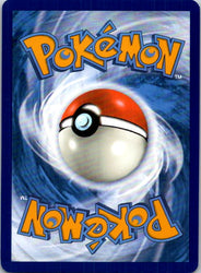 Treasure Tracker (Back)