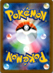 Electivire ex (Back)