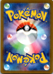 Iron Boulder (Master Ball Pattern) (Back)