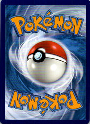Professor's Research [Professor Willow] (Full Art) (Back)