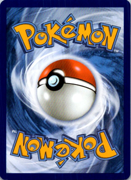 Zoroark (Back)