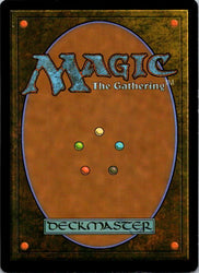 Mirror Shield (Back)