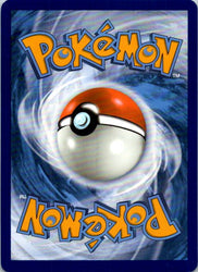 Paras (Back)