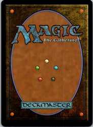 Hermitic Herbalist (Back)