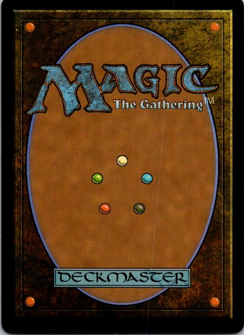 Earth Kingdom Protectors (Back)