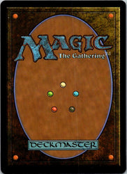 Seismic Sense (Back)