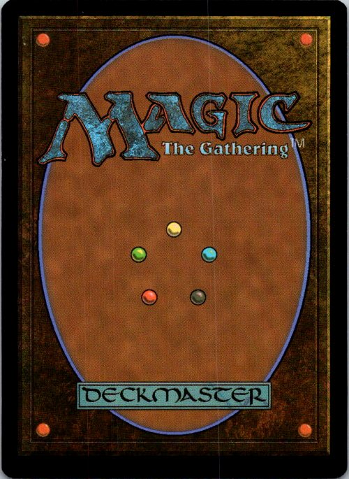 Avalanche Caller (Back)