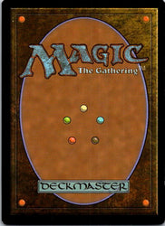 Torment of Scarabs (Back)