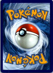 Pineco (Back)