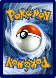 Team Rocket's Venture Bomb (Back)