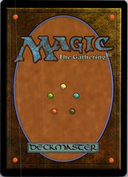 Lifecrafter's Gift (Back)