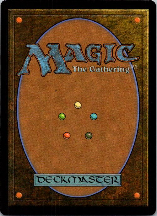 Dragon Mantle (Back)