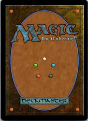 Soul's Fire (Back)