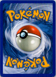 Pineco (Back)