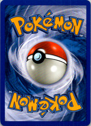 Wartortle (Back)