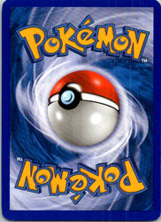 Cyndaquil (Back)