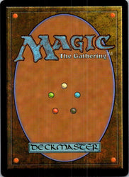 Stormkeld Vanguard (Back)