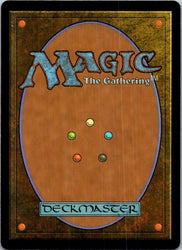 Lightshell Duo (Back)
