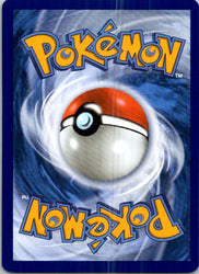 Pikipek