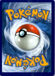 Cinccino ex - 105/086 (Back)