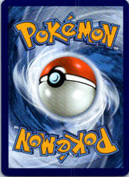 Pokemon Catcher (Back)