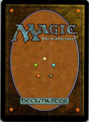 Knotvine Mystic (Back)