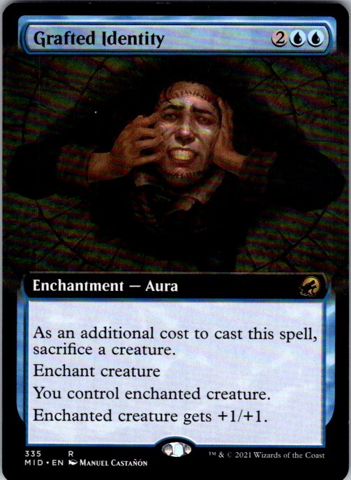 Grafted Identity (Extended Art)