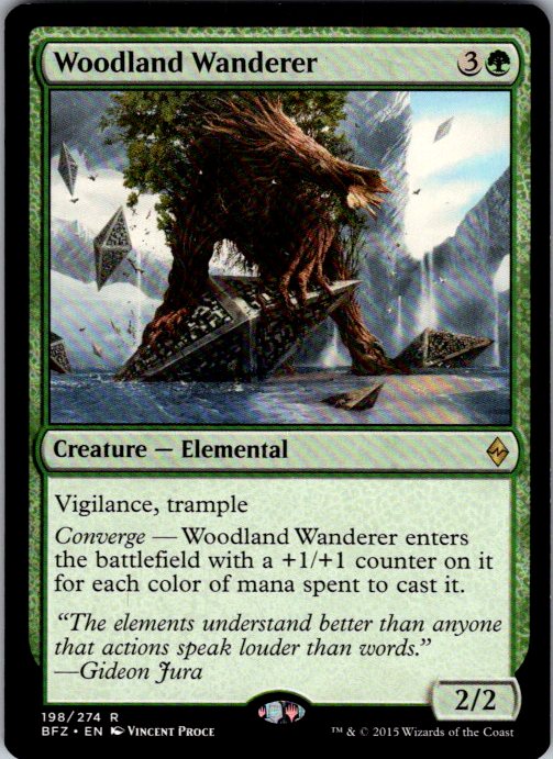 Woodland Wanderer
