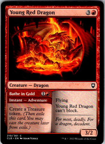 Young Red Dragon
