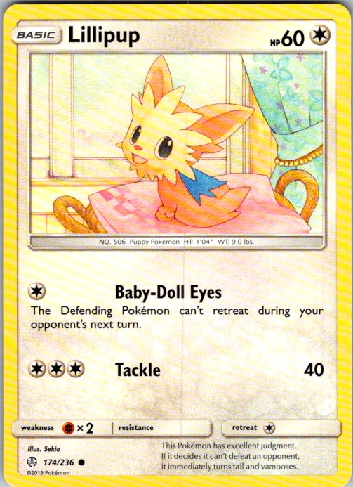 Lillipup