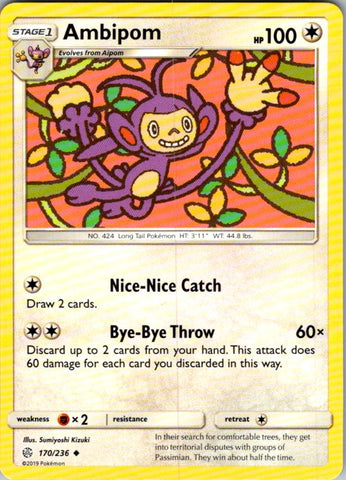 Ambipom