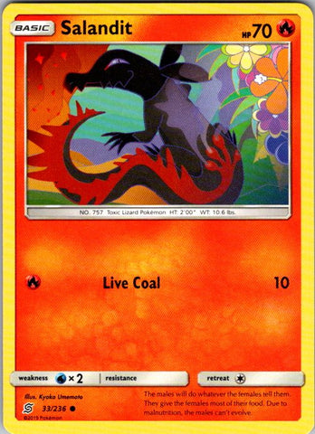 Salandit (33)