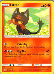 Litten (27)
