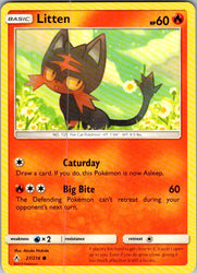 Litten (27)