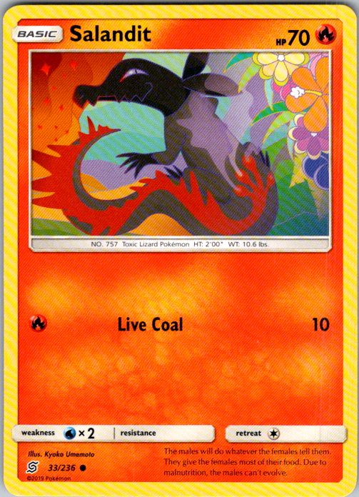 Salandit (33)