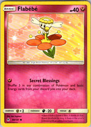Flabebe (84)