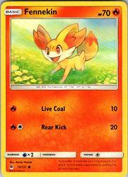 Fennekin (15)