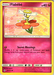 Flabebe (84)
