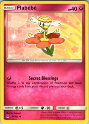 Flabebe (84)